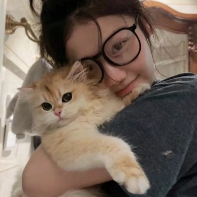 没人瞭波斯猫